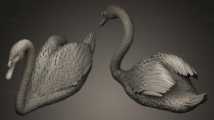 Bird figurines (Swan, STKB_0074) 3D models for cnc